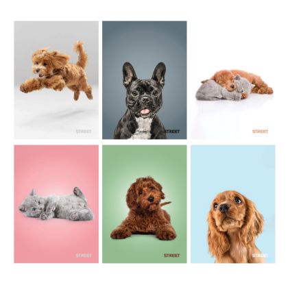 Тетрадка Street, А4, квадратчета, 54л, Friends