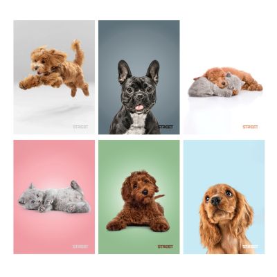 Тетрадка Street, А4, квадратчета, 54л, Friends