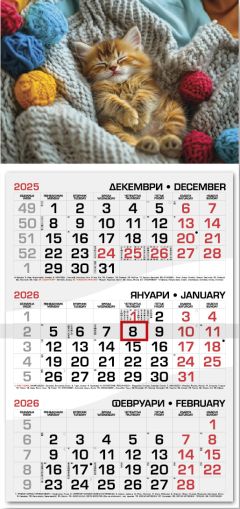 Стенен работен календар РК 101 с цветна глава, асорти