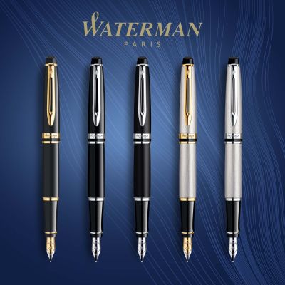 Писалка Waterman Expert Stainless Steel GT