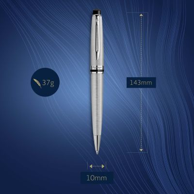 Химикалка Waterman Expert Stainless Steel CT