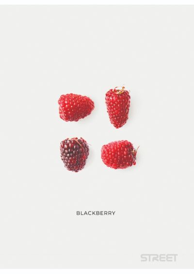 Тетрадка Street, А4, квадратчета, 54л, Fruit