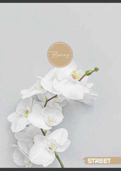 Тетрадка Street, А4, квадратчета, 54листа, flowers