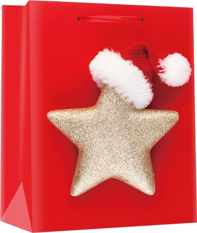 Подаръчна торбичка XMAS Special Medium,18x23x10 cm, 71263