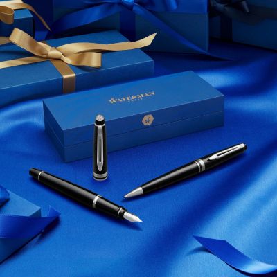 Химикалка Waterman Expert Stainless Steel CT